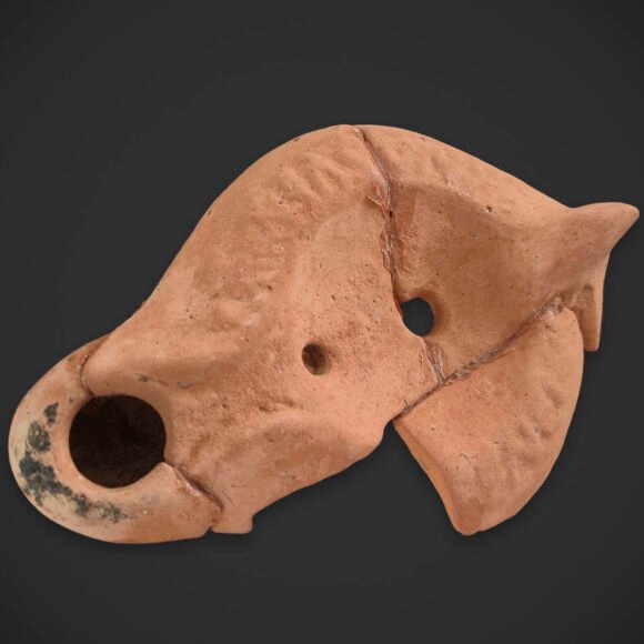 lucerna africana Lucerna africana